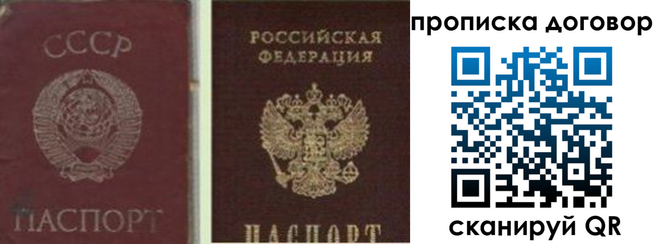 прописка гарантия в Бузулуке